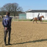 Flatwork teaching