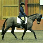 Dressage