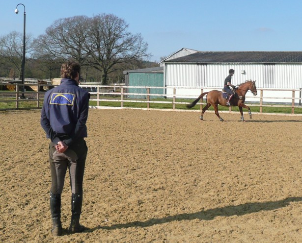 Flatwork teaching