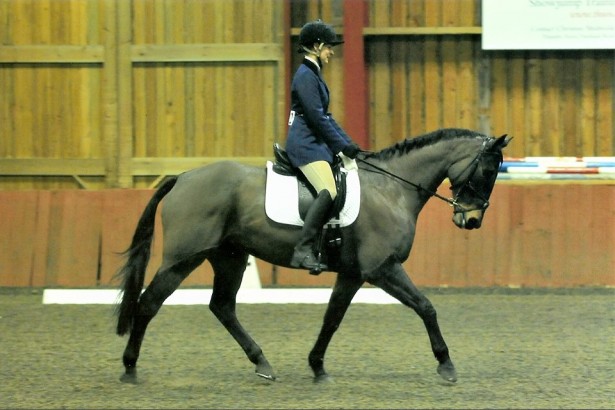 Dressage